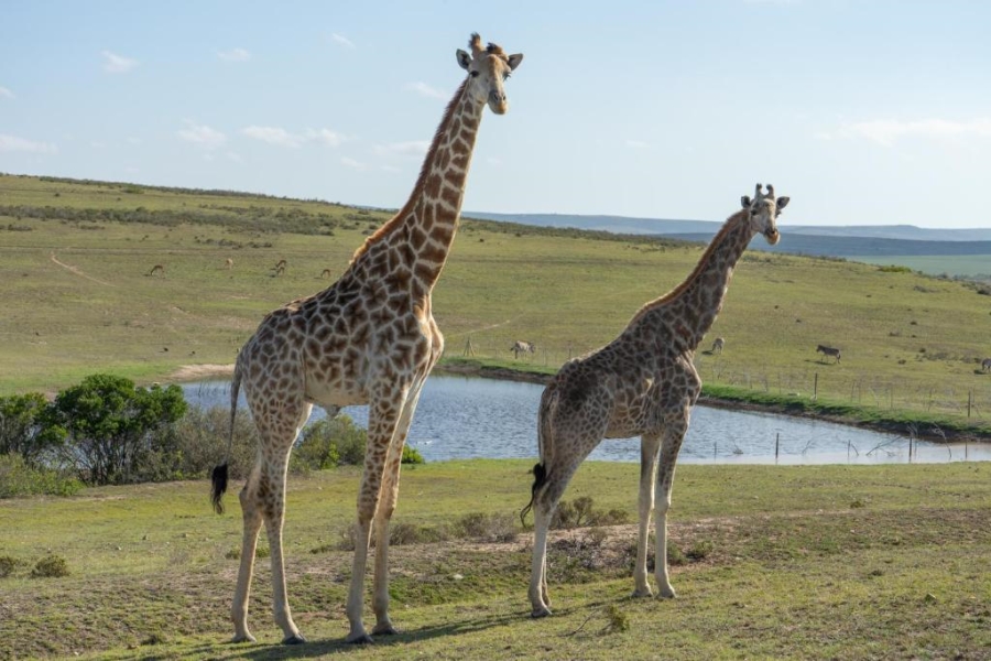  Bedroom Property for Sale in Mossel Bay Rural Western Cape